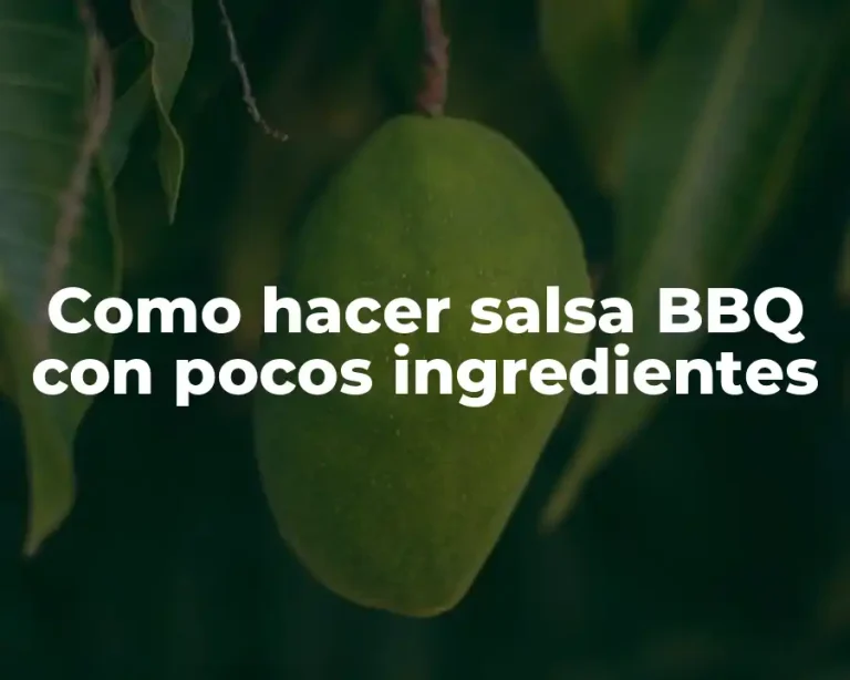 Como hacer salsa BBQ con pocos ingredientes