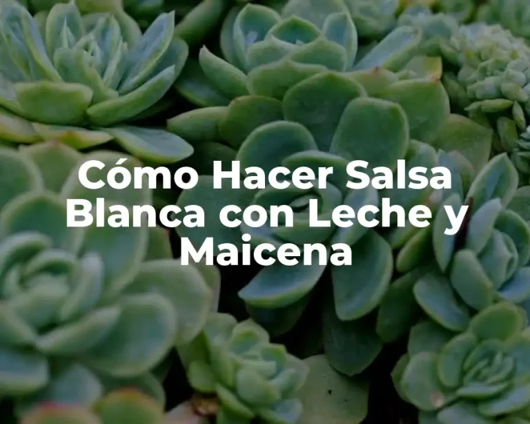 Cómo Hacer Salsa Blanca con Leche y Maicena