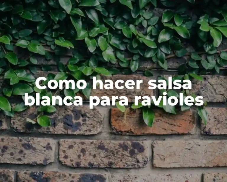 Como hacer salsa blanca para ravioles