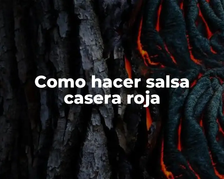 Como hacer salsa casera roja