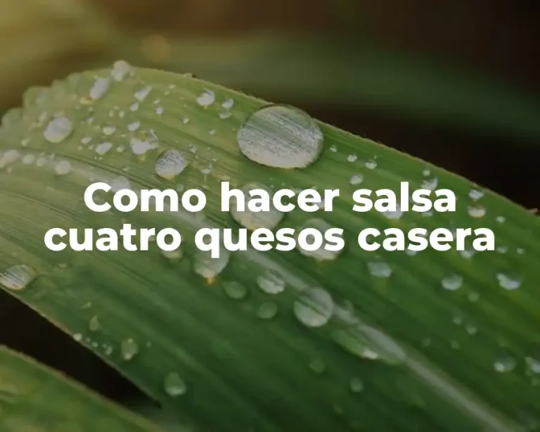 Como hacer salsa cuatro quesos casera