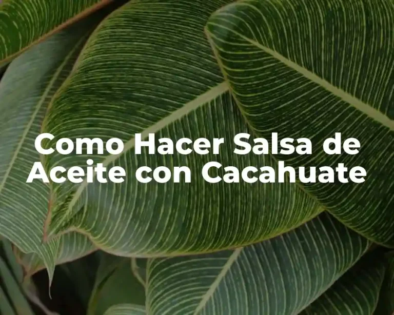 Como Hacer Salsa de Aceite con Cacahuate