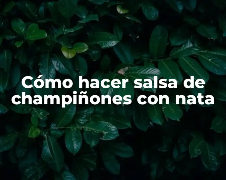 Cómo hacer salsa de champiñones con nata