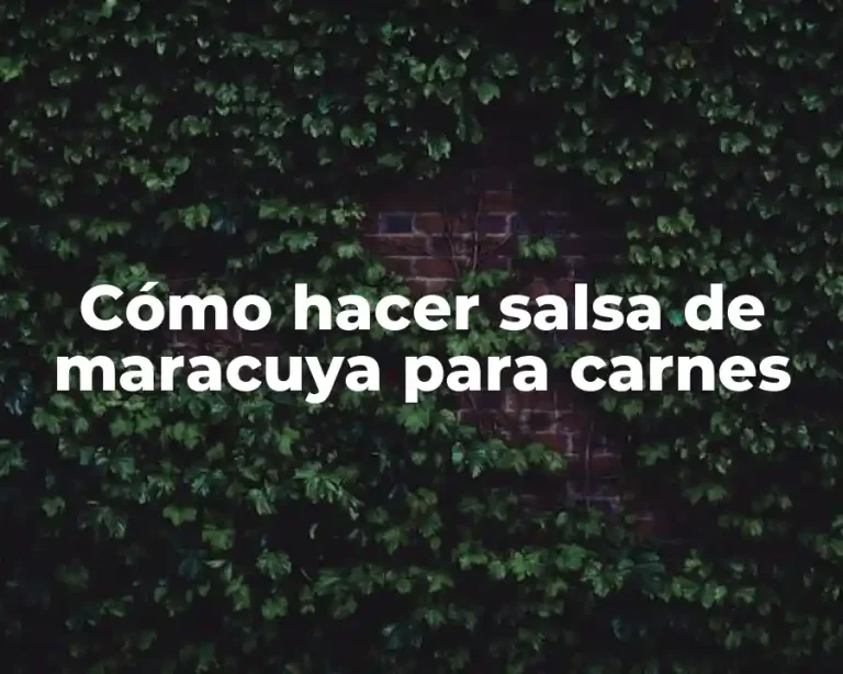 Cómo hacer salsa de maracuya para carnes