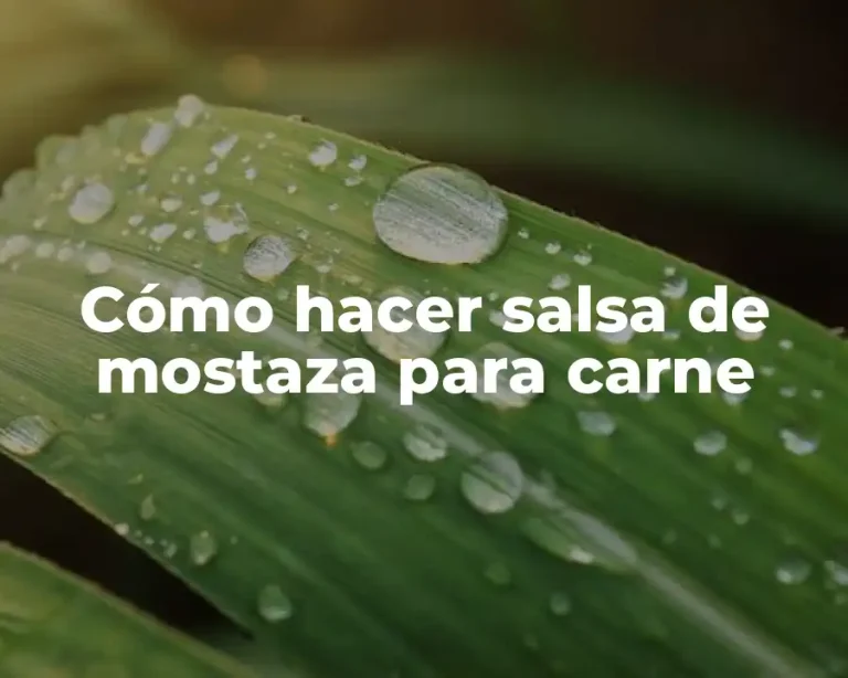 Cómo hacer salsa de mostaza para carne