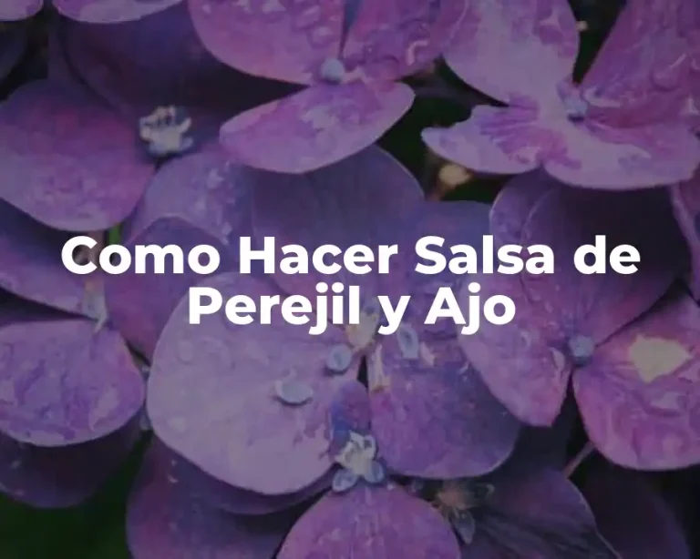 Como Hacer Salsa de Perejil y Ajo