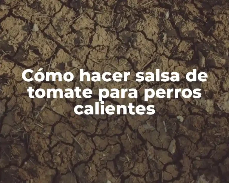 Cómo hacer salsa de tomate para perros calientes