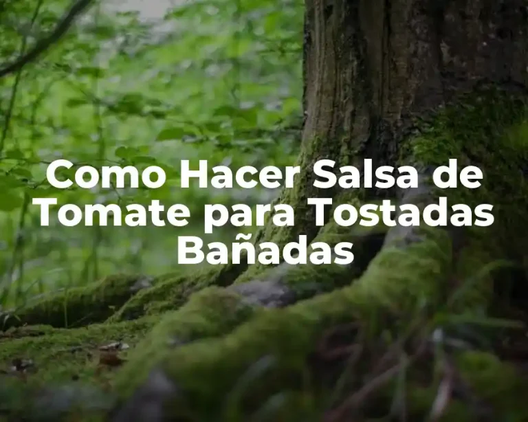Como Hacer Salsa de Tomate para Tostadas Bañadas