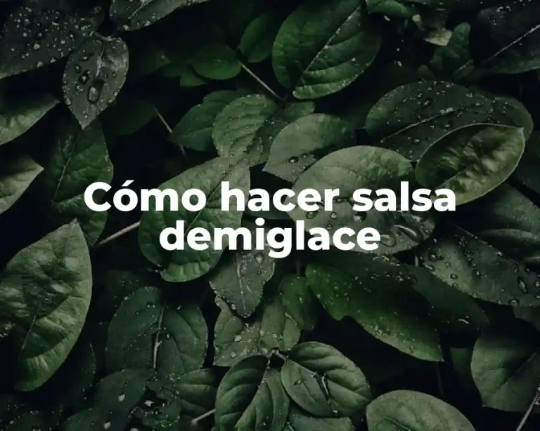 Cómo hacer salsa demiglace