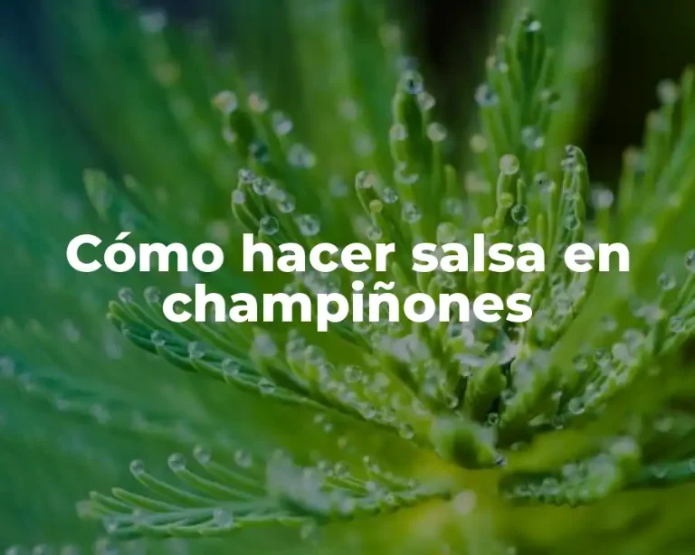 Cómo hacer salsa en champiñones
