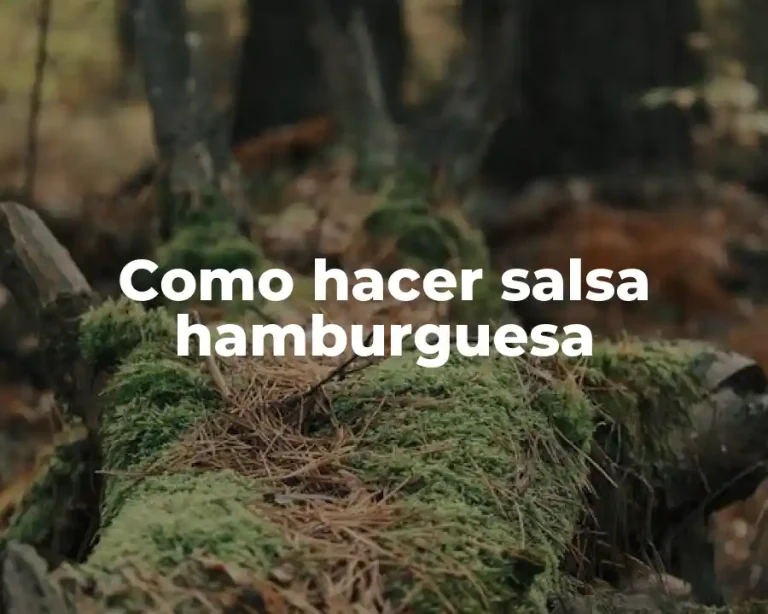Como hacer salsa hamburguesa