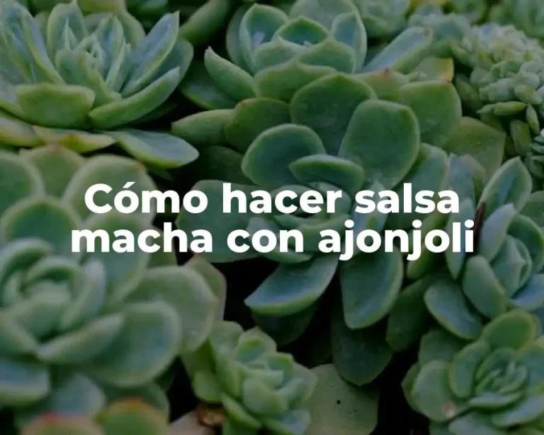 Cómo hacer salsa macha con ajonjoli