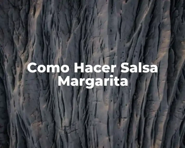 Como Hacer Salsa Margarita
