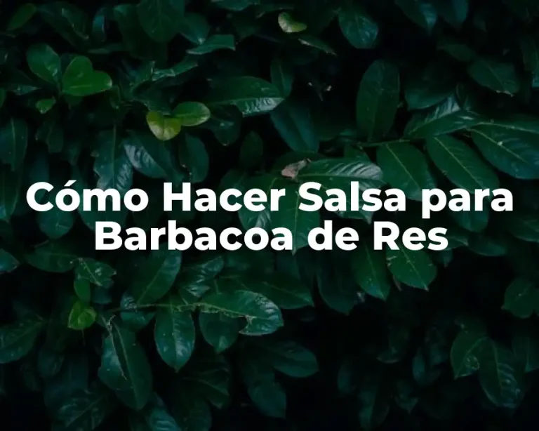 Cómo Hacer Salsa para Barbacoa de Res