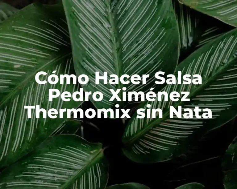 Cómo Hacer Salsa Pedro Ximénez Thermomix sin Nata