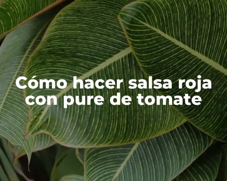Cómo hacer salsa roja con pure de tomate