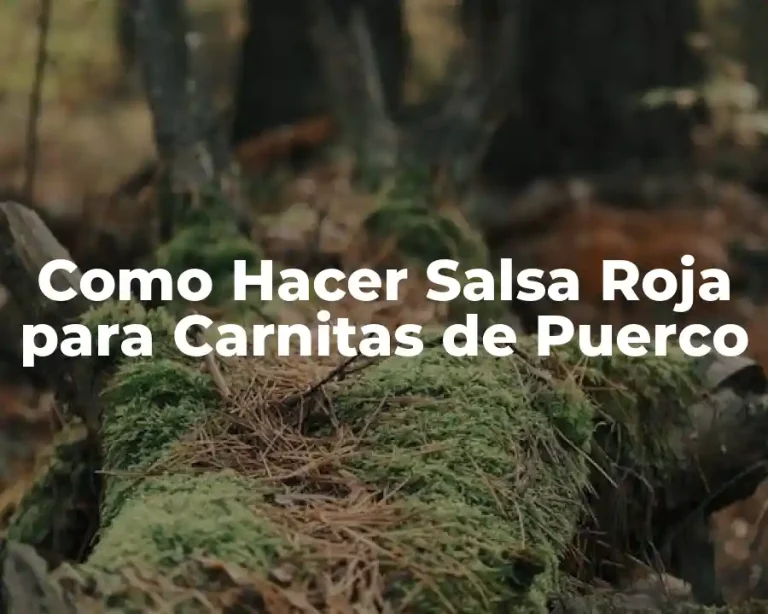 Como Hacer Salsa Roja para Carnitas de Puerco