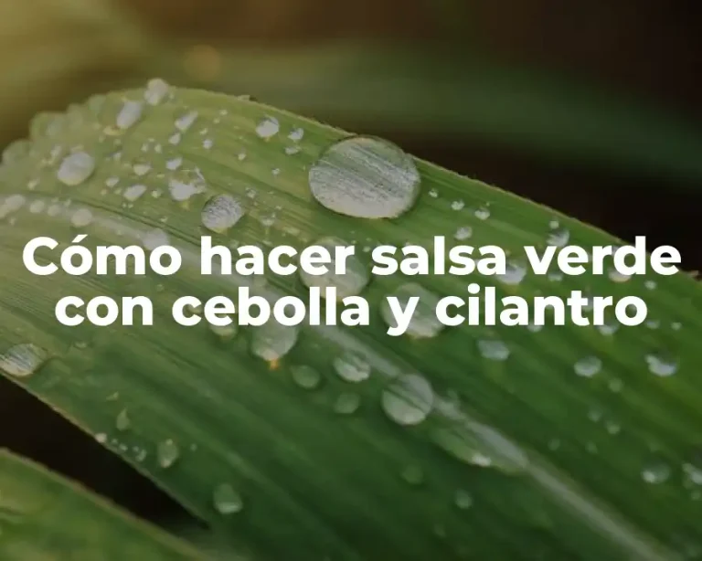 Cómo hacer salsa verde con cebolla y cilantro