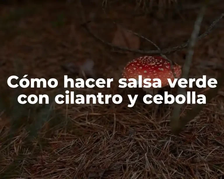 Cómo hacer salsa verde con cilantro y cebolla