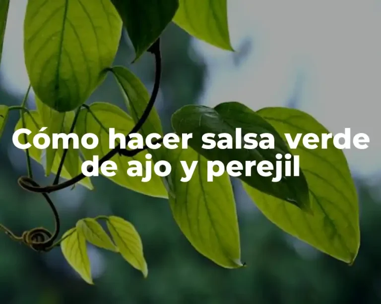 Cómo hacer salsa verde de ajo y perejil