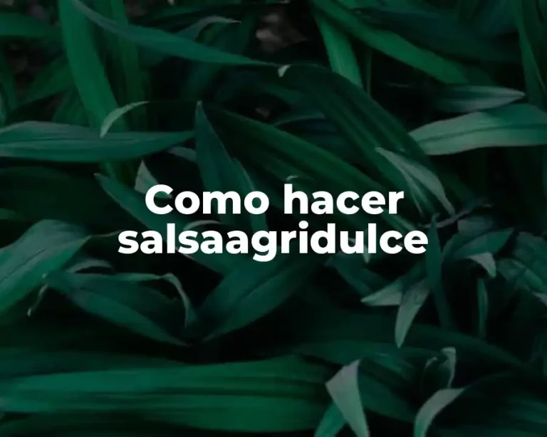 Como hacer salsaagridulce