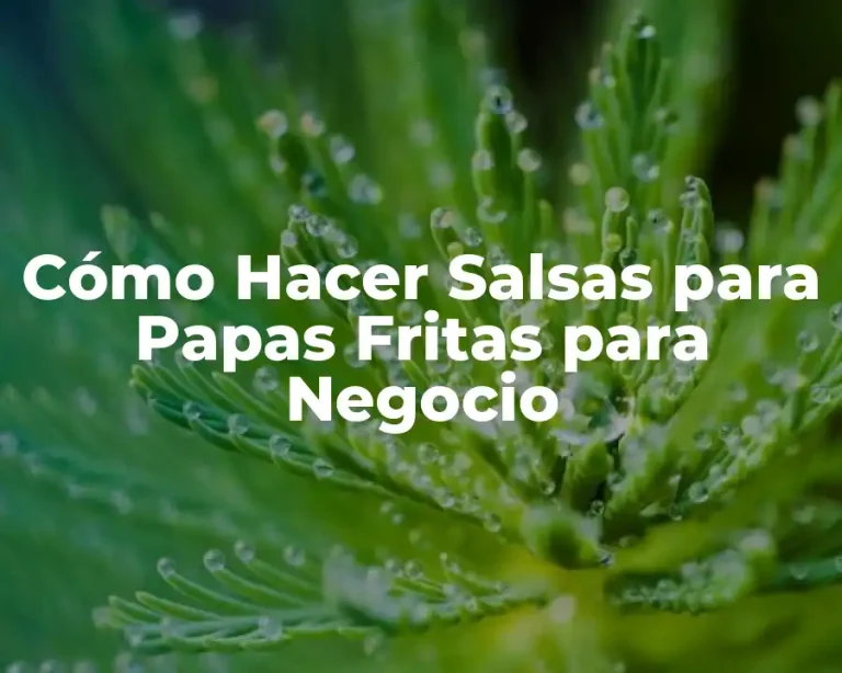 Cómo Hacer Salsas para Papas Fritas para Negocio