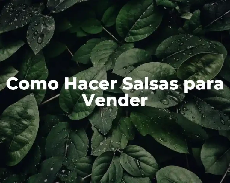 Como Hacer Salsas para Vender