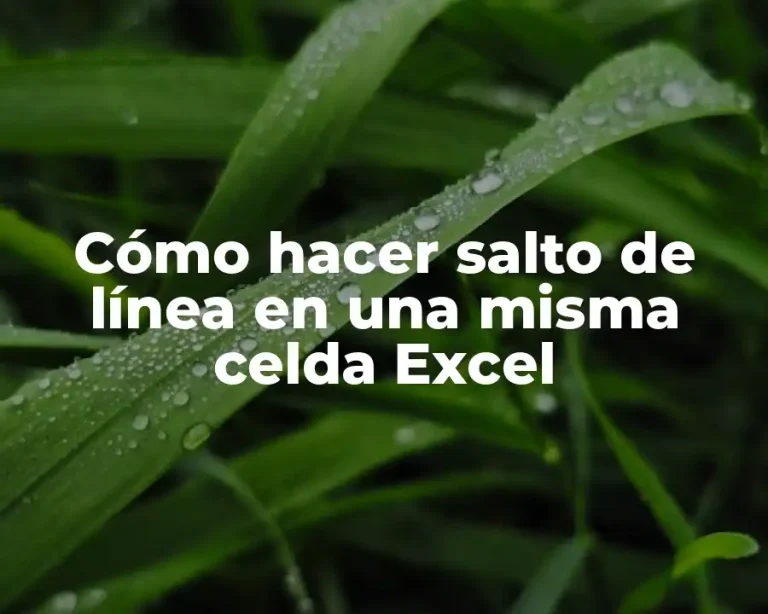 Cómo hacer salto de línea en una misma celda Excel