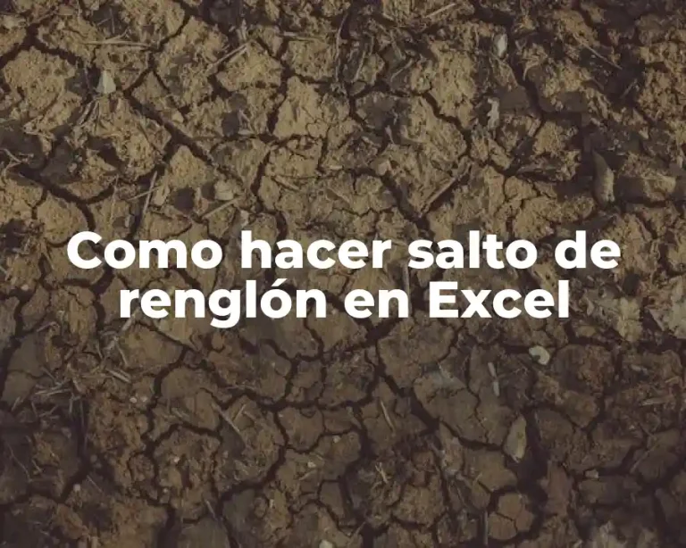 Como hacer salto de renglón en Excel