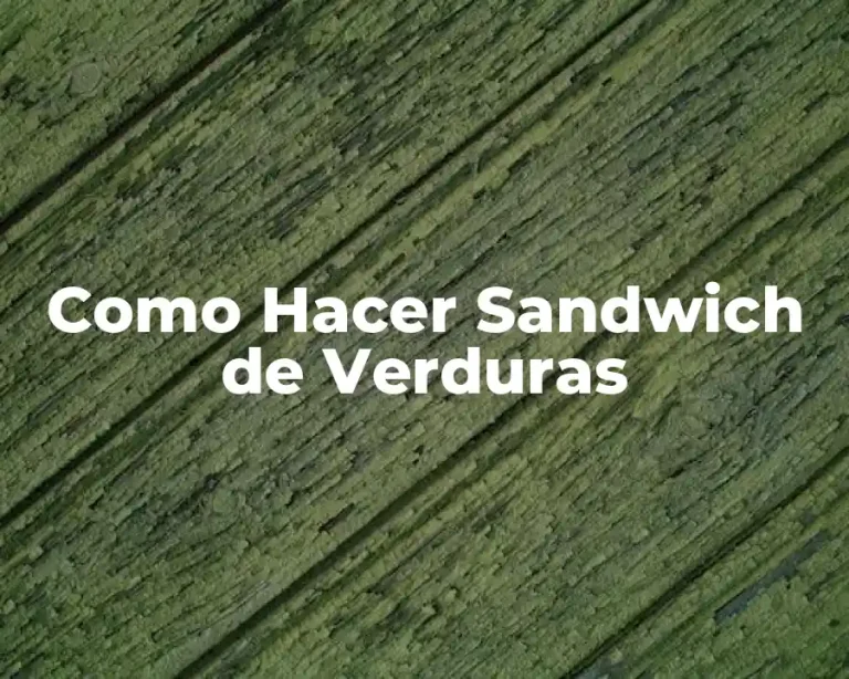 Como Hacer Sandwich de Verduras