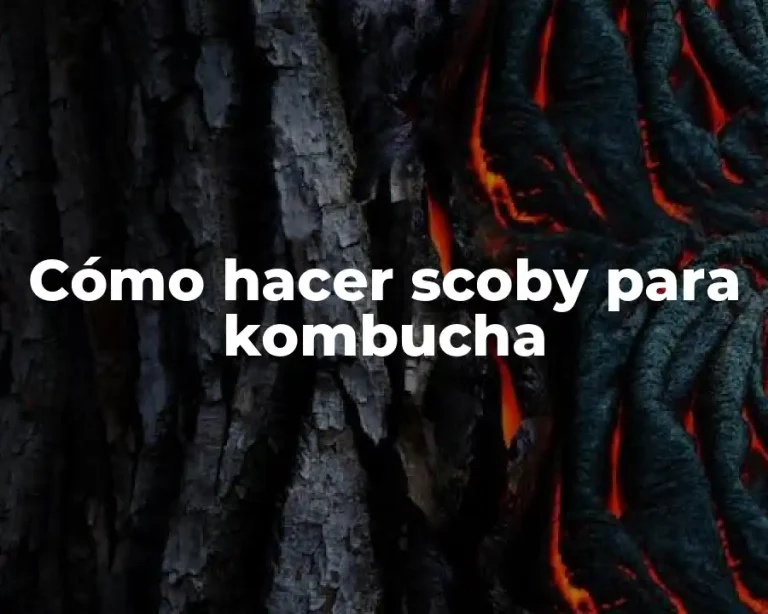 Cómo hacer scoby para kombucha