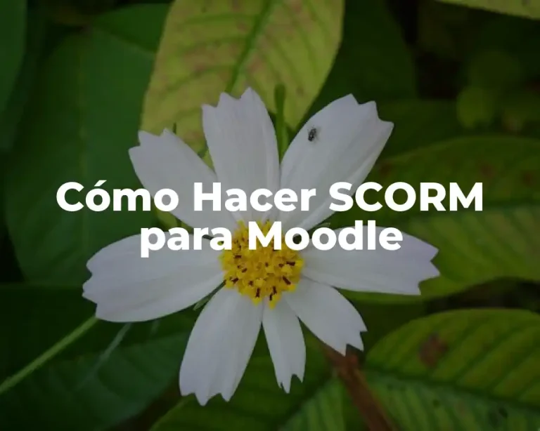 Cómo Hacer SCORM para Moodle