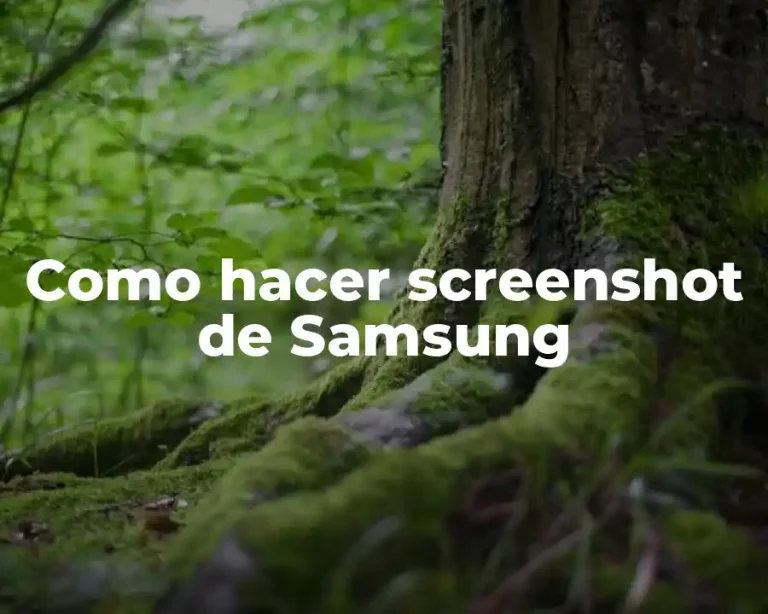 Como hacer screenshot de Samsung