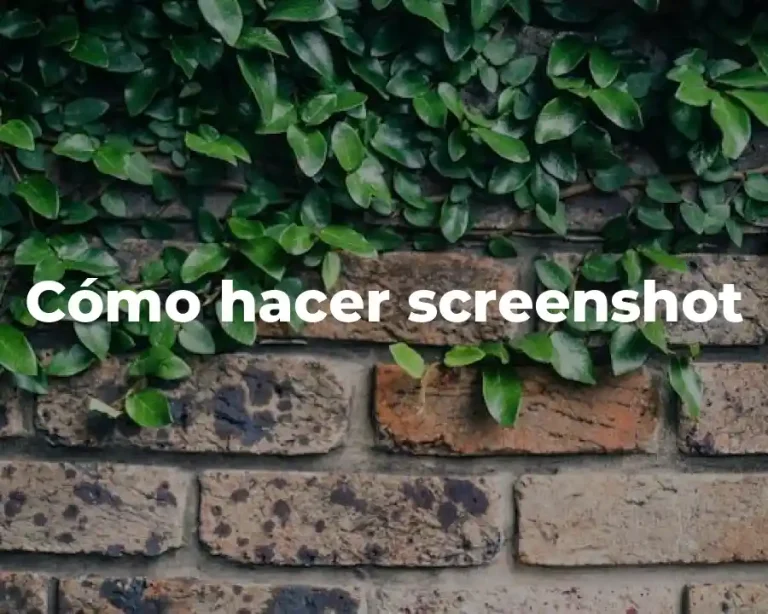 Cómo hacer screenshot