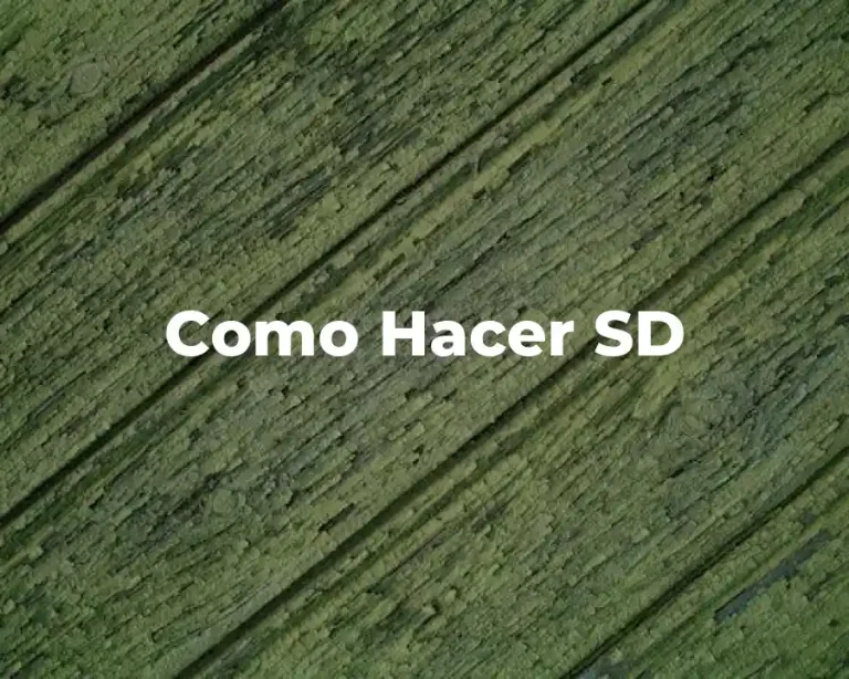 Como Hacer SD