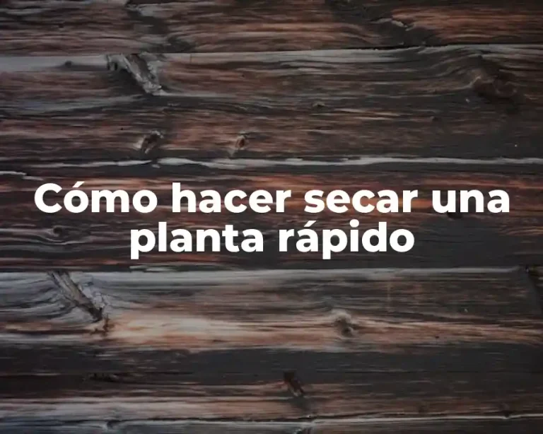 Cómo hacer secar una planta rápido
