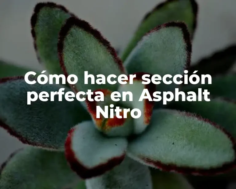 Cómo hacer sección perfecta en Asphalt Nitro