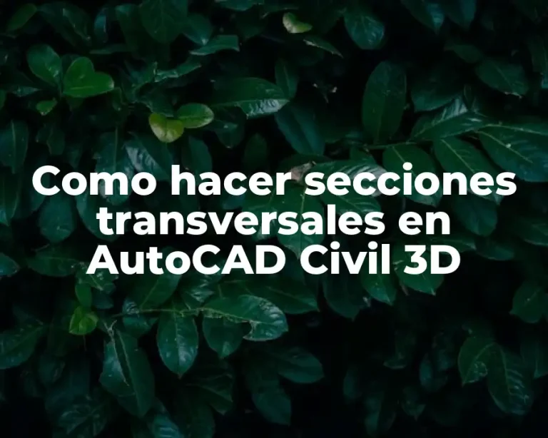 Como hacer secciones transversales en AutoCAD Civil 3D