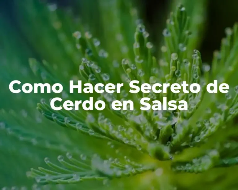 Como Hacer Secreto de Cerdo en Salsa