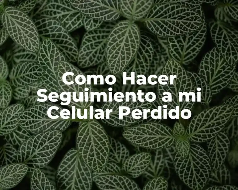 Como Hacer Seguimiento a mi Celular Perdido