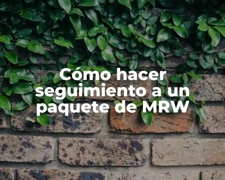 Cómo hacer seguimiento a un paquete de MRW
