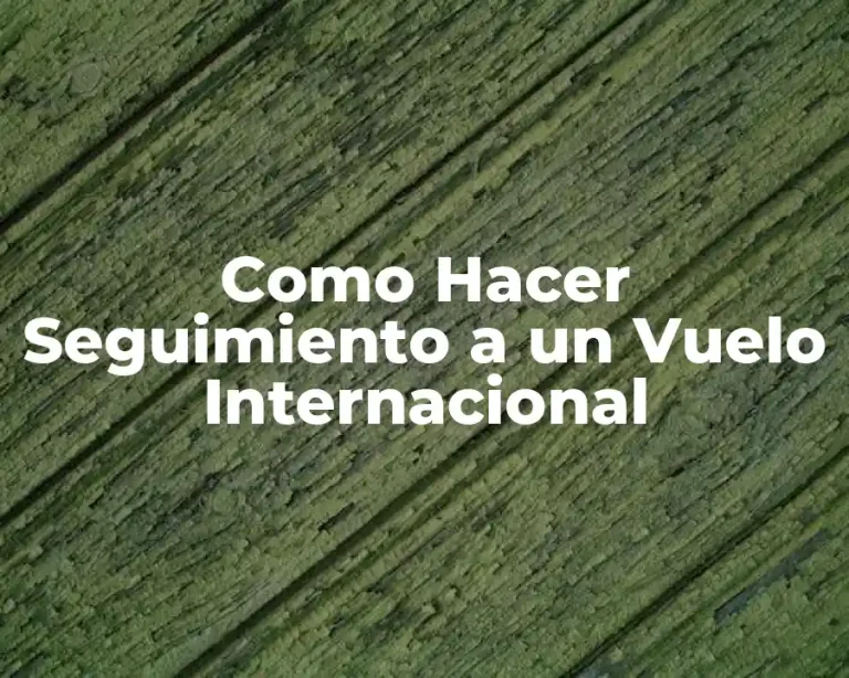 Como Hacer Seguimiento a un Vuelo Internacional