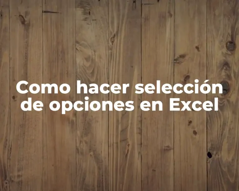 Como hacer selección de opciones en Excel