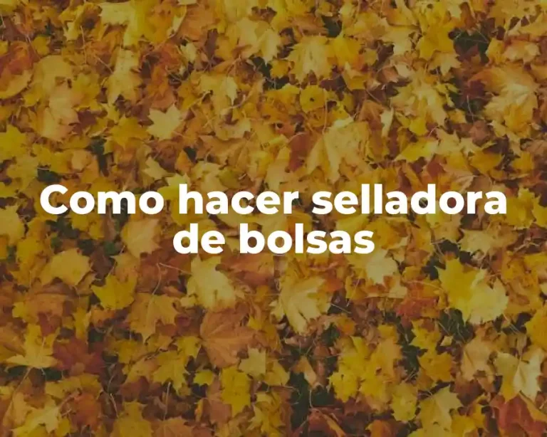Como hacer selladora de bolsas