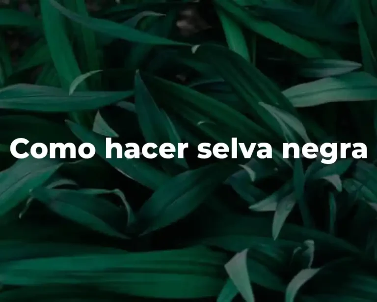 Como hacer selva negra