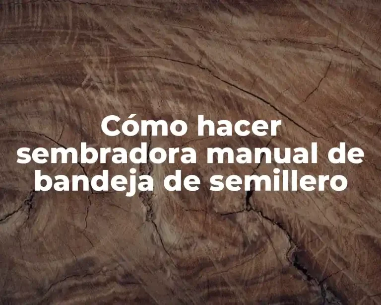 Cómo hacer sembradora manual de bandeja de semillero