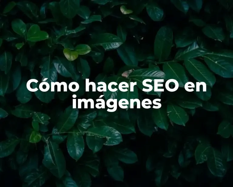 Cómo hacer SEO en imágenes