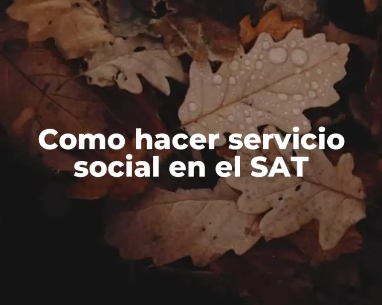 Como hacer servicio social en el SAT