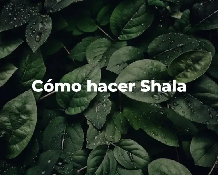 Cómo hacer Shala