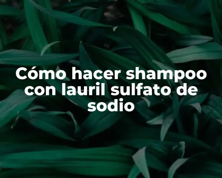 Cómo hacer shampoo con lauril sulfato de sodio